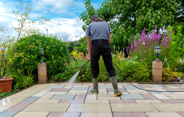 Best Patio and Deck Pressure Washing  in Gonzales, TX